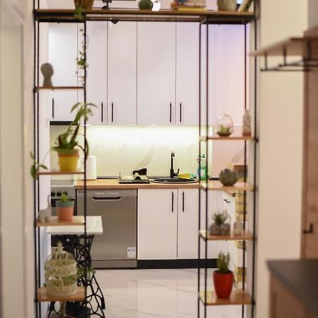 Garden Apartment - Oaza U Centru Grada โนวีซาด ภายนอก รูปภาพ