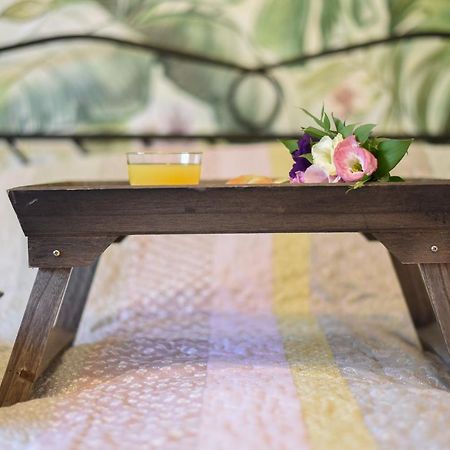 Garden Apartment - Oaza U Centru Grada โนวีซาด ภายนอก รูปภาพ