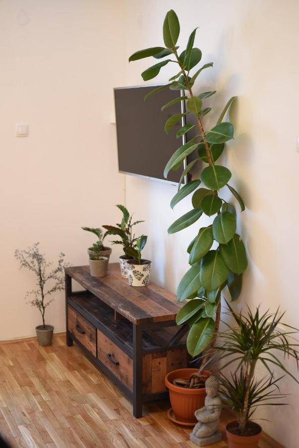 Garden Apartment - Oaza U Centru Grada โนวีซาด ภายนอก รูปภาพ